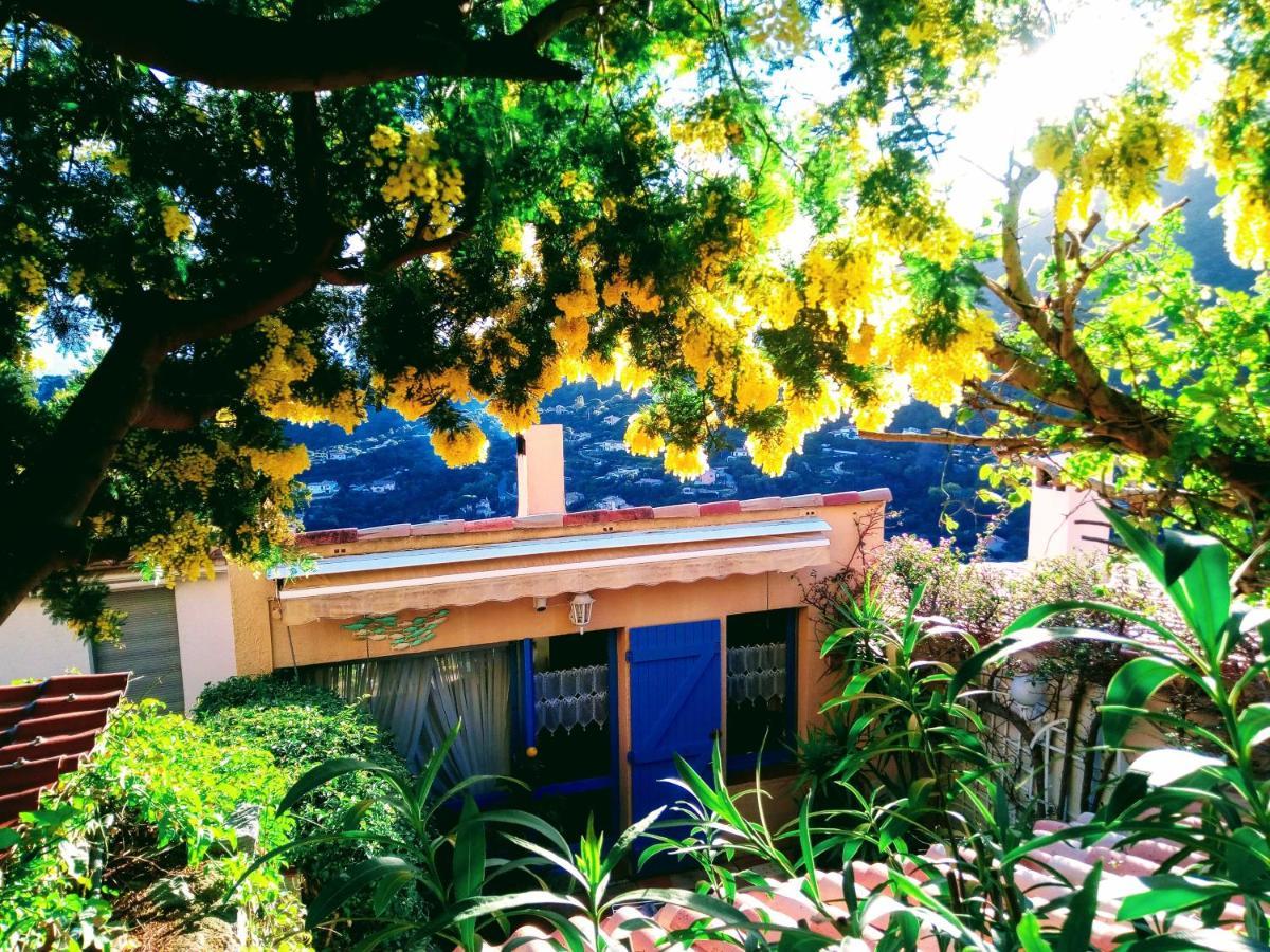 Coeurs de Pirates: Exotic Provencal Spa Retreat Cavalaire-sur-Mer Exterior photo